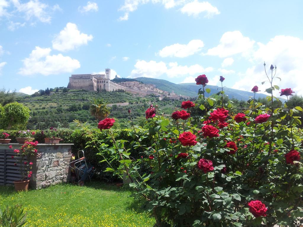 B&B Barbara Assisi Cannara Zimmer foto